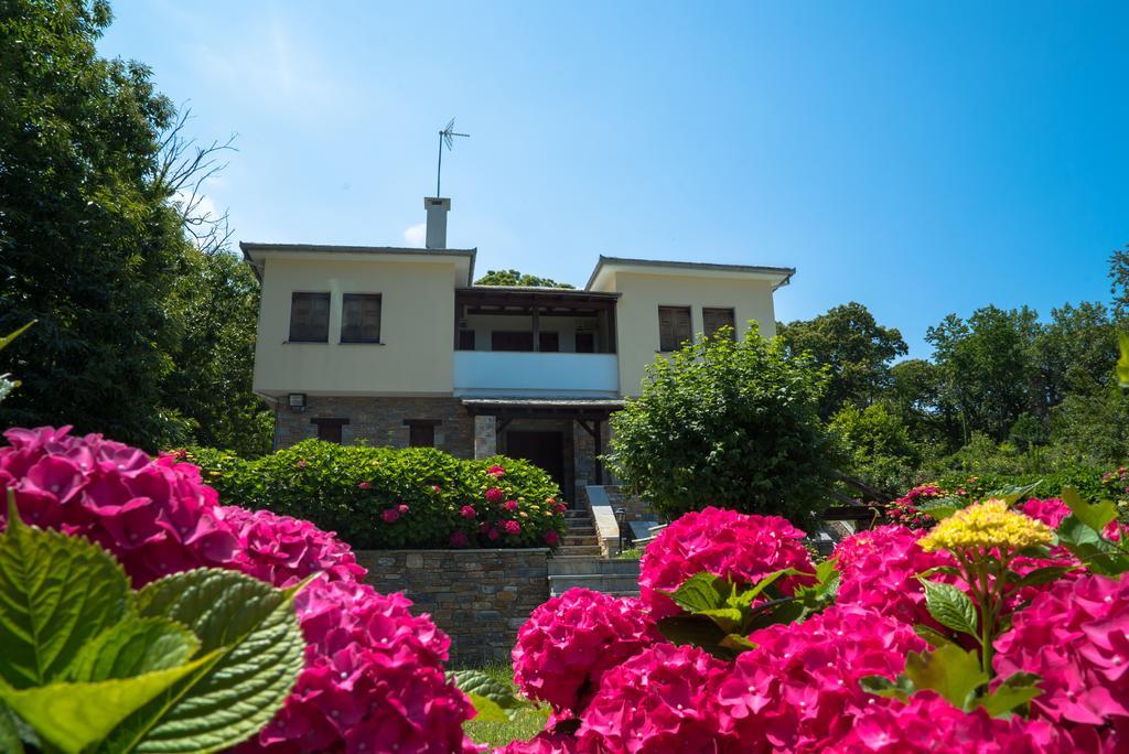 Luxury Villa With Pool In Tsagarada Esterno foto